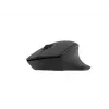 Natec langaton hiiri Siskin 2 BT 5.0 + 2.4GHZ