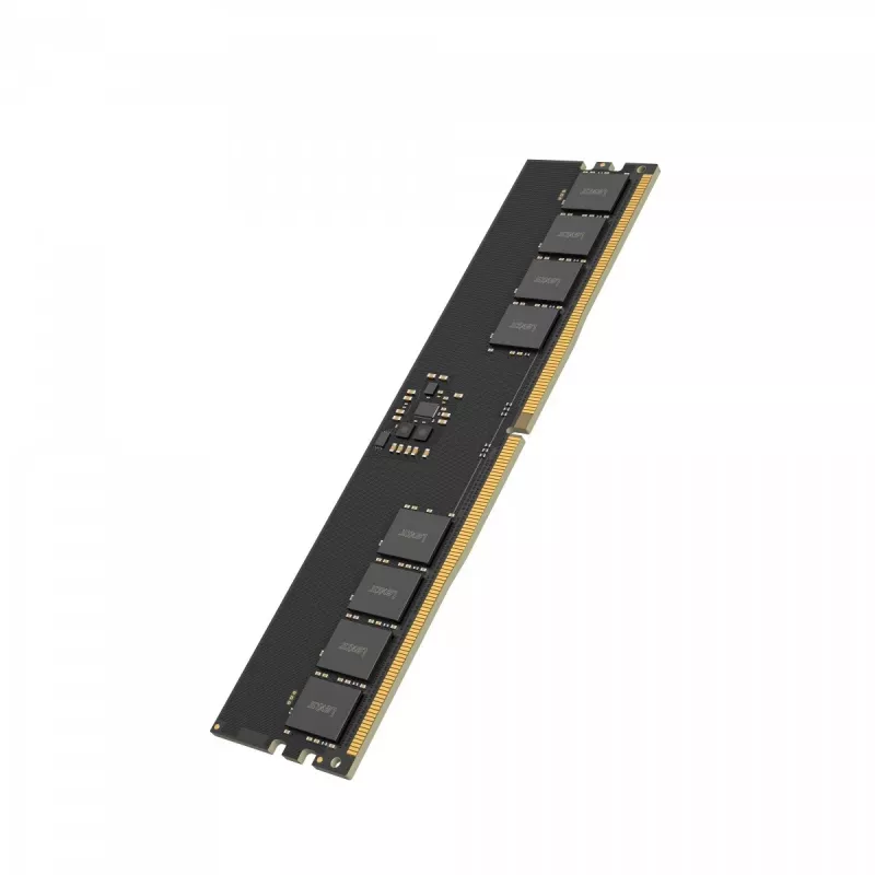 Lexar DDR5 - moduuli - 32 GB - DIMM 288-PIN - 5600 MT/s / PC5-44800