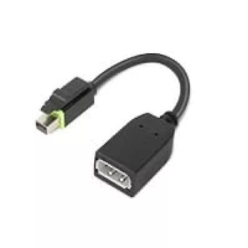 Lenovo 4X90Q93975 videokaapeli-adapteri Mini DisplayPort DisplayPort musta