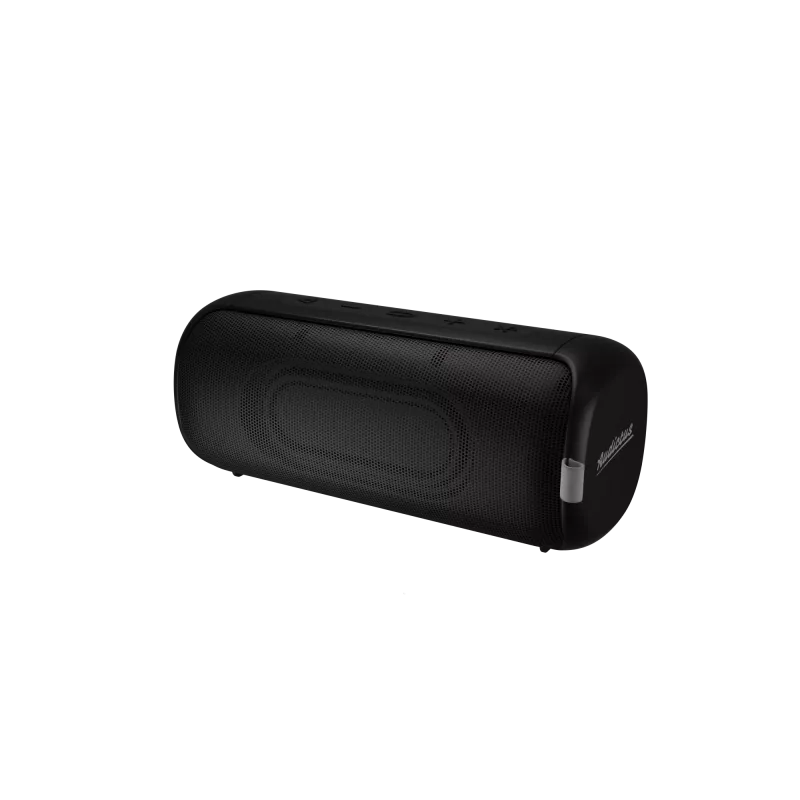 Stereo kannettava kaiutin Audictus Aurora Pro 20 W