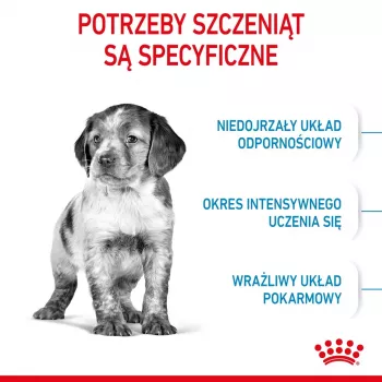 Kuivakoiranruoka Royal Canin Medium Puppy 4 kg — keskikokoisille roduille 10–25 kg, proteiini 32 %, rasva 20 %, kana
