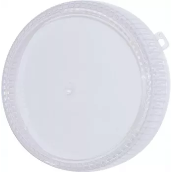 Varaosavärikupu EUROLITE Techno Strobe 94202020 – 205 mm kirkas