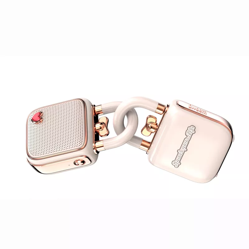 Kannettava mono-kaiutin Divoom LoveLock pinkki