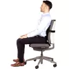 Selkätuki PlushTouch/Lumbar 8026501 FELLOWES