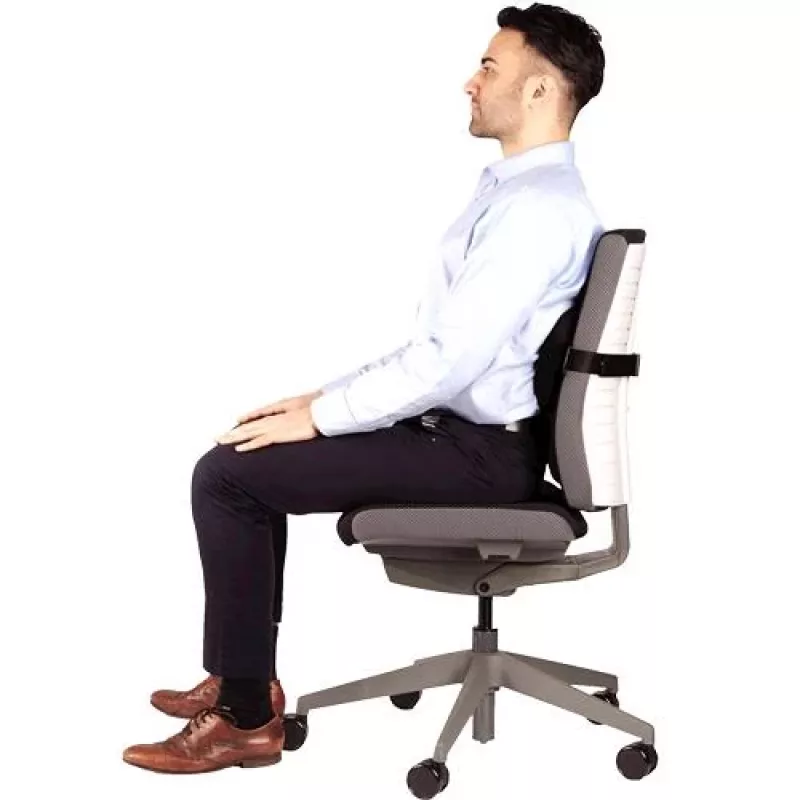 Selkätuki PlushTouch/Lumbar 8026501 FELLOWES