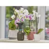 Käsiruisku Gardena 11110-20 0,75 L musta