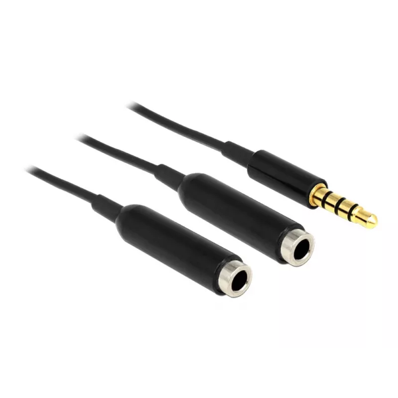 Audiokaapeli DeLOCK 65575 0,25 m 3,5 mm 2 x 3,5 mm musta