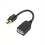 Lenovo 4X90Q93975 videokaapeli-adapteri Mini DisplayPort DisplayPort musta