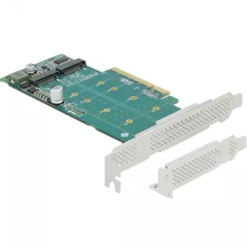 DeLOCK PCI Express x8 -kortti 2 x sisäiseen NVMe M.2 Key M -jakoon Low Profile -muototekijä
