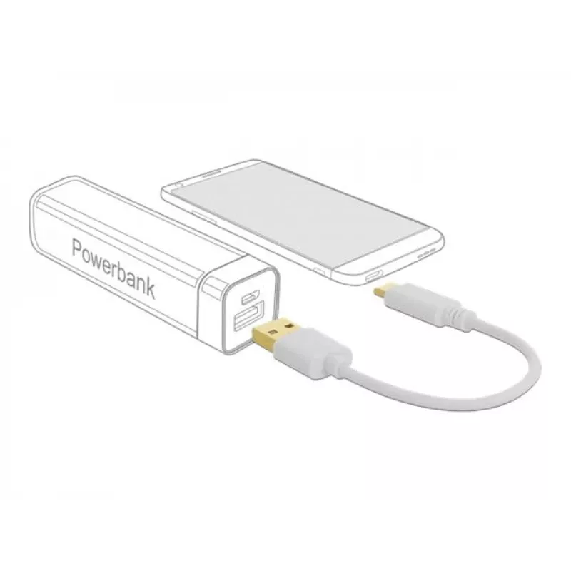 USB-latauskaapeli DeLOCK Type-A - USB Type-C 15 cm