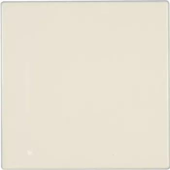 Jung kansilevy sokkopeite LS 990, LS design, LS plus Creme-Weiß LS 994 B (LS 994 B)