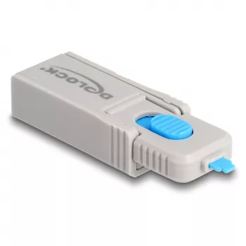 DeLOCK 20969 porttilukko DisplayPort HDMI USB Type-A USB Type-C harmaa