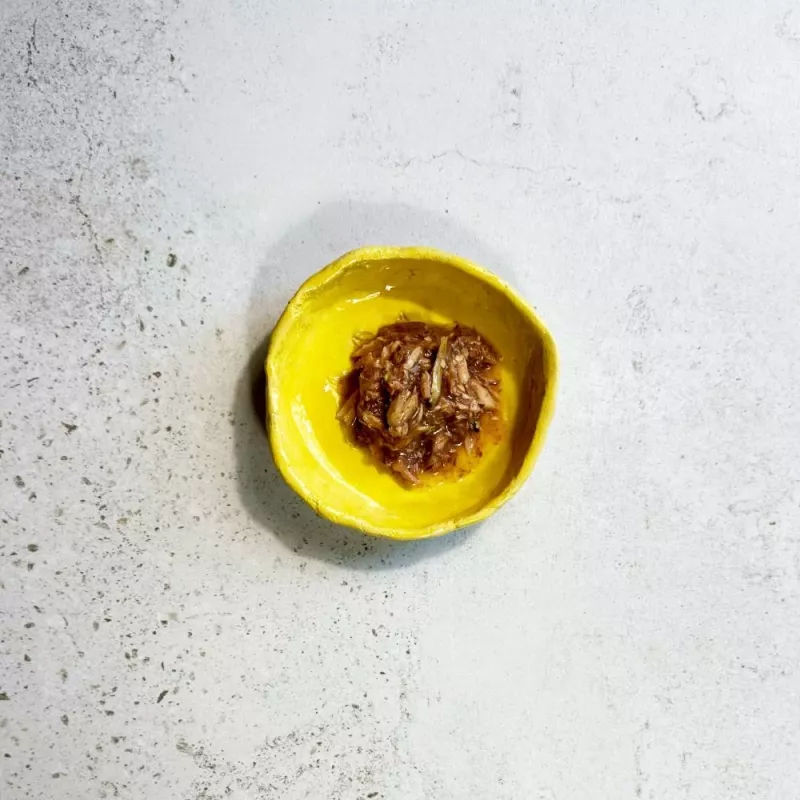 Ollo tonnikala sardelli liemessä nro 9 70 g