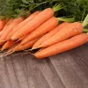 PNOS ruokaporkkana Lenka siemennauha, 6 m