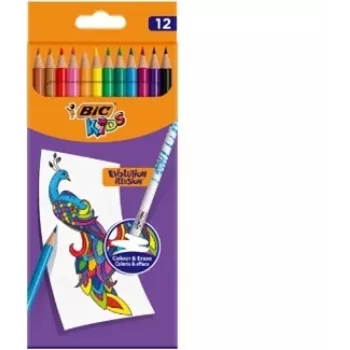 Värikynä BIC 987868 monivärinen 12 kpl