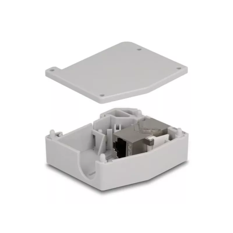 DeLOCK DIN-kiskoadapteri RJ45-liitin – RJ45-liitin Cat.6A harmaa