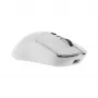 Hiiri White Shark GM-9010 MAXIMUS valkoinen USB