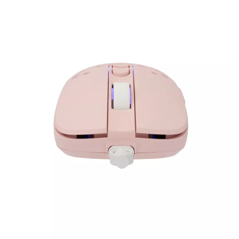 Hiiri White Shark GM-9004 Tristan-2 pinkki RGB USB