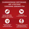 PURINA ONE MED/MAX Junior Kana & riisi 7kg