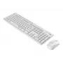Logitech MK295 Silent - näppäimistö-hiiri-sarja - langaton - 2,4 GHz - italialainen - cremevalkoinen