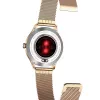 Älykello MaxCom FW42 GOLD kulta