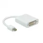 ROLINE Mini DisplayPort-DVI-sovitin, Mini DP uros - DVI naaras (12.03.3128)