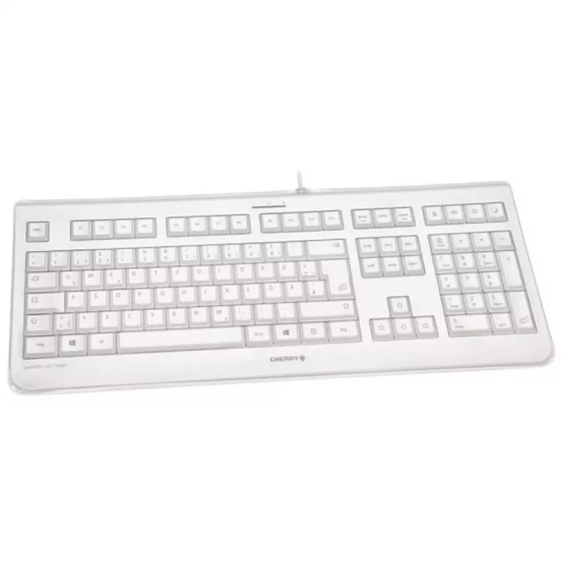 CHERRY KC 1068 näppäimistö USB sveitsiläinen asettelu harmaa
