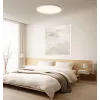 Älykäs Xiaomi kattovalaisin D30 WiFi 30W