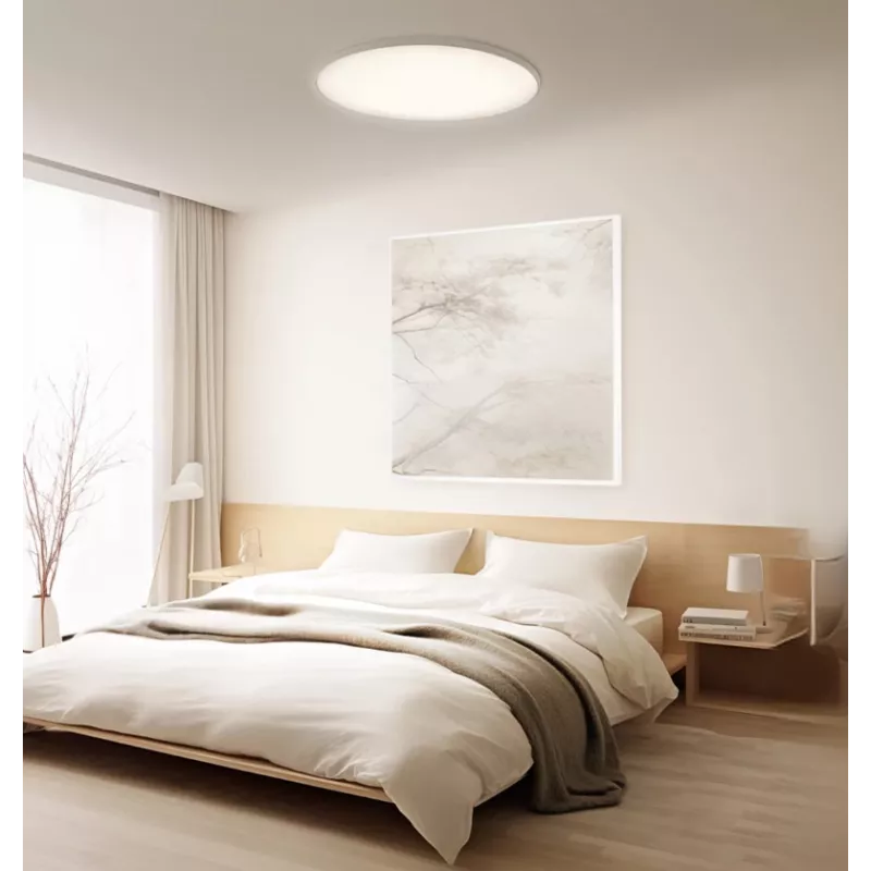 Älykäs Xiaomi kattovalaisin D30 WiFi 30W