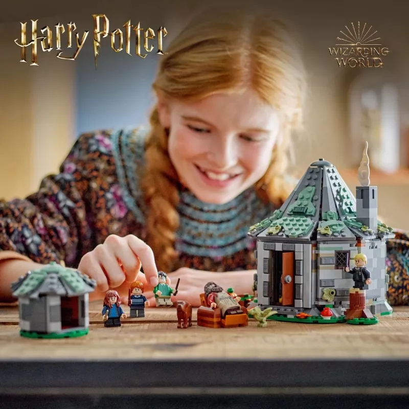 LEGO HARRY POTTER 76428 Hagridin mökki – odottamaton vierailu