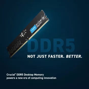 Crucial Pro - DDR5 - moduuli - 16 GB - DIMM 288-PIN Low Profile