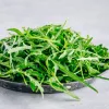 PNOS rucola Eruca sativa siemenet nauhalla, 6 m