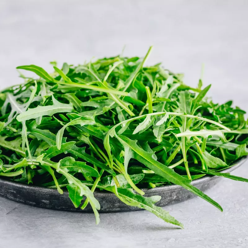 PNOS rucola Eruca sativa siemenet nauhalla, 6 m