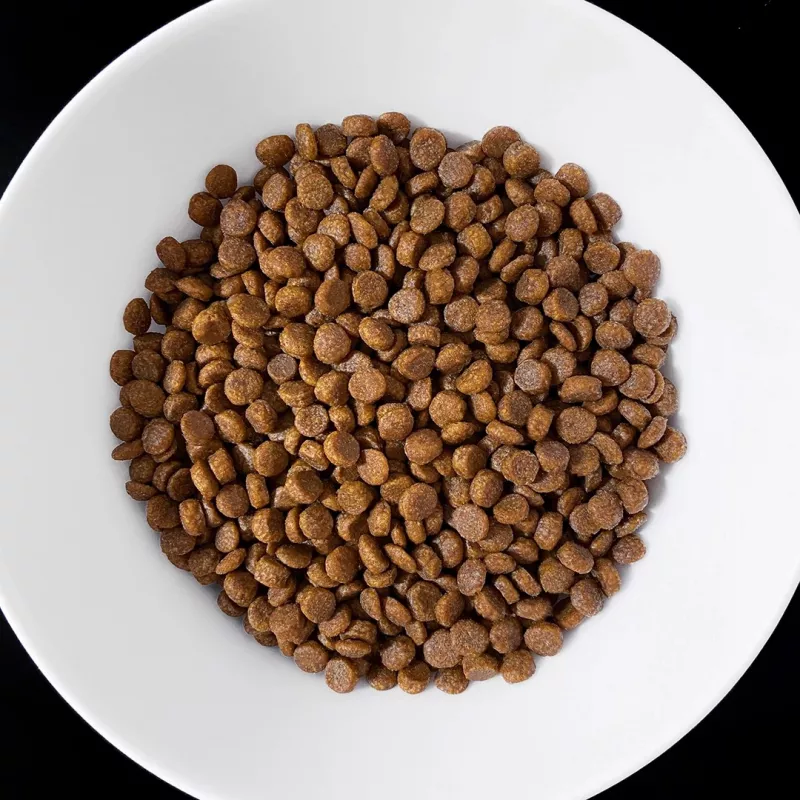 VET RESPONSE Gastrointestinal - kuivamuona kissoille - 1,6 kg