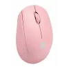 NATEC STORK hiiri koti molempikätinen RF langaton + USB Type-A optinen 1600 DPI