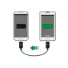USB-kaapeli DeLOCK 83570 USB 2.0 0,3 m USB B musta