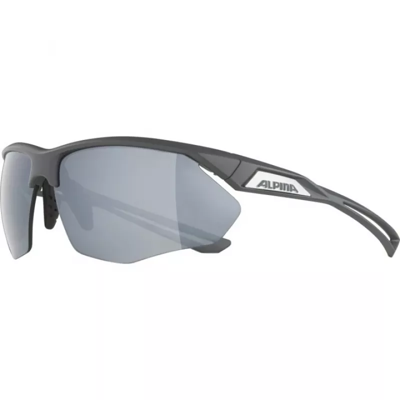 Alpina Nylos HR -aurinkolasit Kat. 3 harmaa