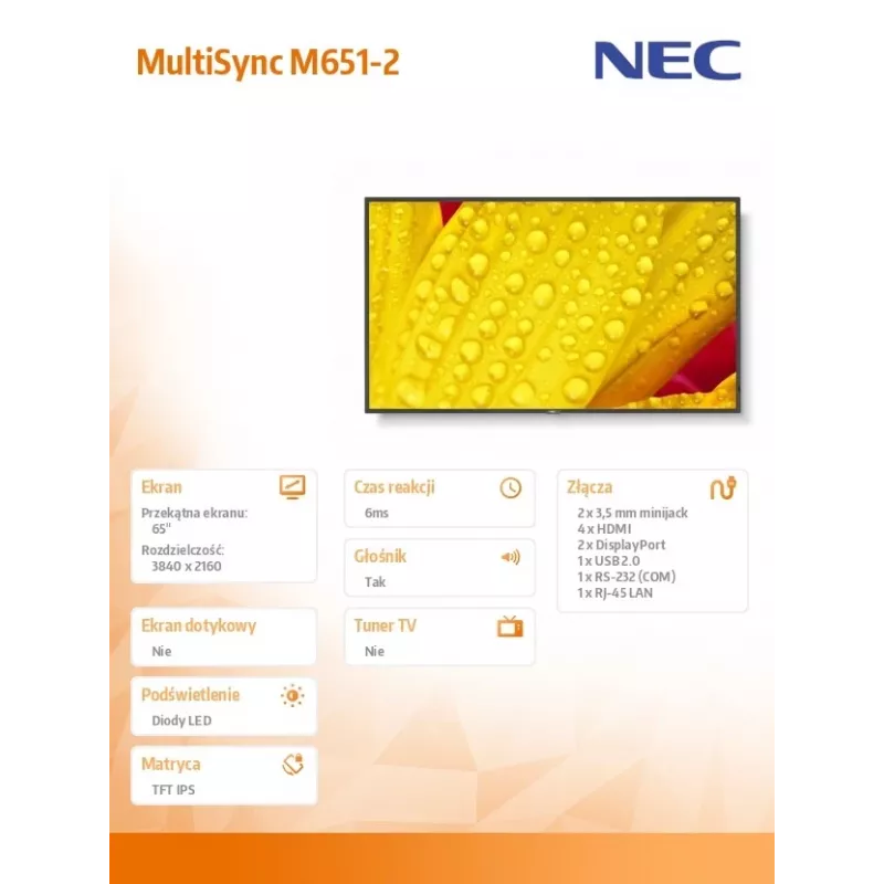 NEC MultiSync M651-2 kioskidesign 165,1 cm (65