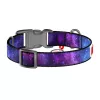 Koiranpanta Waudog NASA21 nailon, koko M, 20 mm leveys