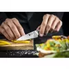 Zwilling TANREI 10 cm neulaveitsi ja koristeluveitsi