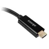 HDMI-DisplayPort-adapterikaapeli Akasa AK-CBHD24-25BK