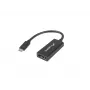 Videokaapelin sovitin Lanberg AD-UC-DP-01