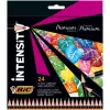 BIC Intensity värikynät 24 väriä 967823