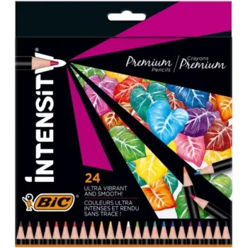 BIC Intensity värikynät 24 väriä 967823