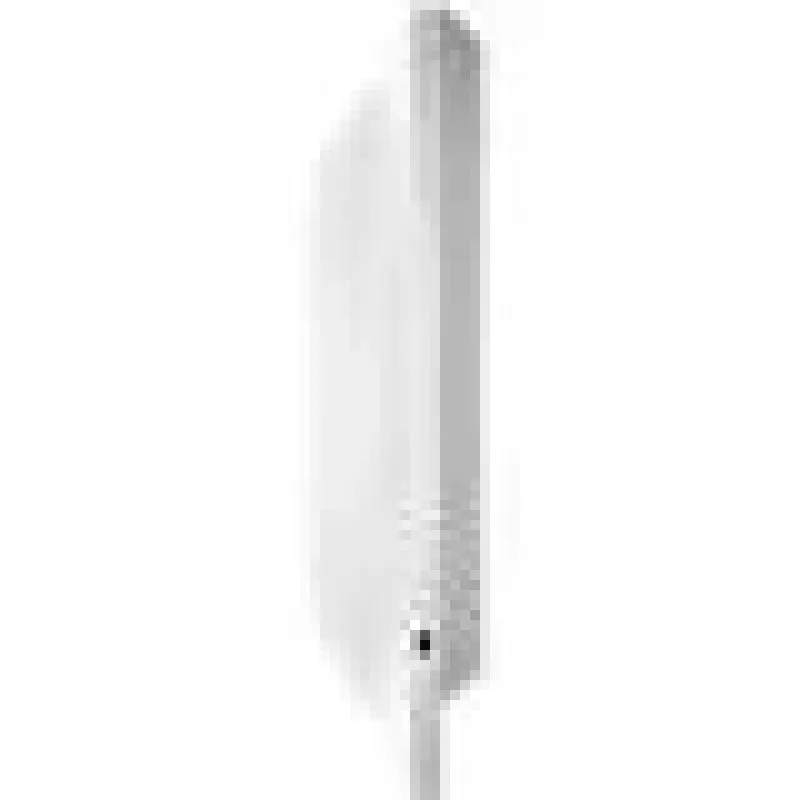 Grandstream Networks GWN7660 langaton tukiasema 1770 Mbit/s valkoinen Power over Ethernet (PoE)