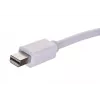 Videoadapterikaapeli SAVIO Mini DisplayPort (uros) - HDMI Type-A (naaras) 0,2 m, valkoinen
