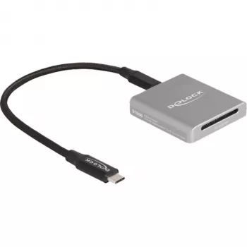 DeLOCK 91006 kortinlukija harmaa SD USB Type-C 10000 Mbit/s