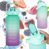 Extralink motivaatiojuomapullo, 2000 ml, vihreä-violetti, BUT-190