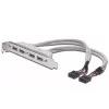 Korttipaikkakaapeli USB 2.0 HighSpeed tyyppi 2xIDC (5pin)/4xUSB A M/F harmaa 0,25 m