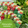 TORAF Spring Flavors siemensetti - 12 pakkausta